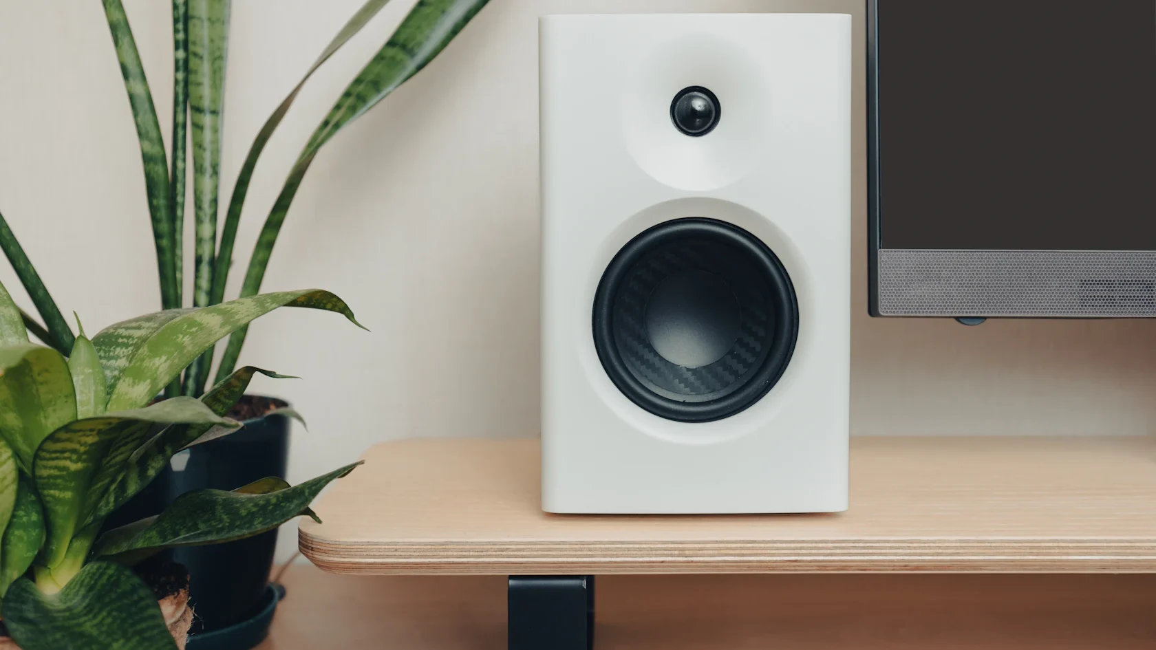 Finding the perfect plants for busy men is not easy; they need to be robust on top of being decorative. I listed some of those for you.